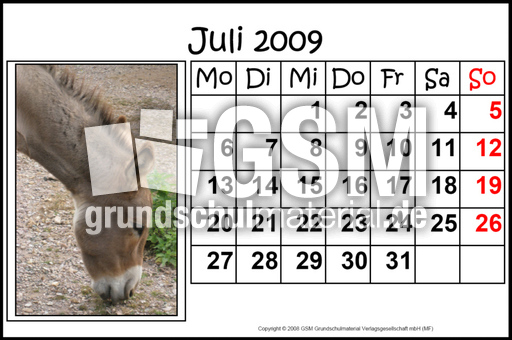7-Juli-2009-quer.jpg